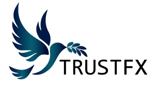 Логотип сайта trustfx.io