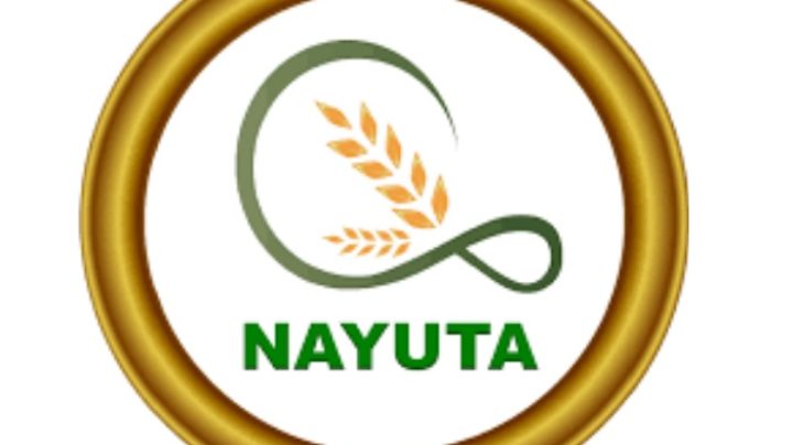 Логотип nayuta.biz