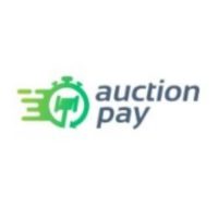 Логотип Auction Pay