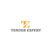 Логотип Tender Expert