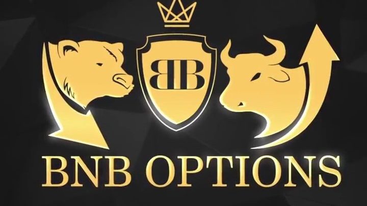 Логотип BNB Options