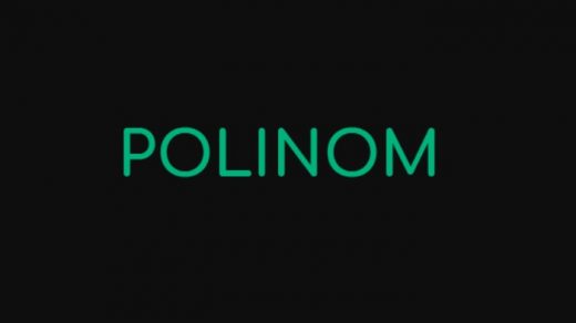 Логотип Polinom