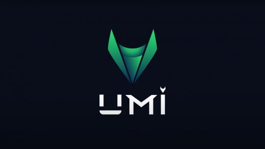 Криптовалюта UMI: цена, отзывы. Стоит ли инвестировать свои деньги