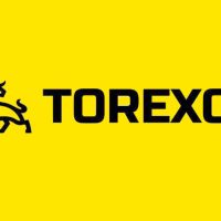 Torexo - отзывы о проекте, обзор и анализ сайта