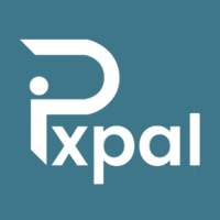 PixPal Изображение записи