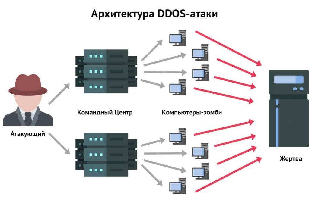 архитектура DDOS атаки