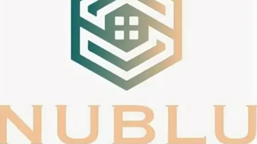 Nublu Investments Limited заработок