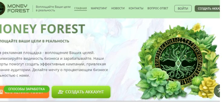 Money Forest официальный сайт