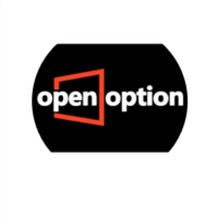 Open Option Изображение записи